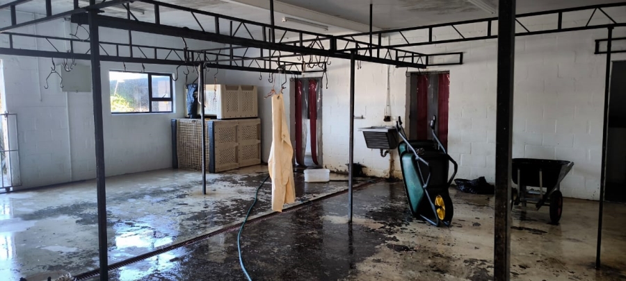 Commercial Property for Sale in Philippi Western Cape